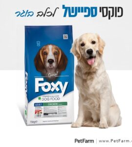 פטפארם